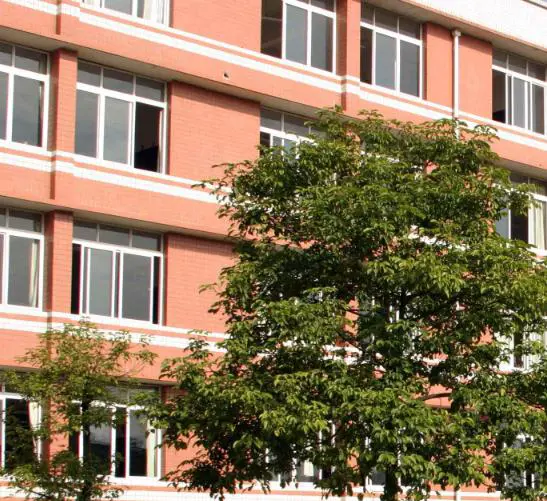 刻苦训练篮球时如何避免受伤的建议_0